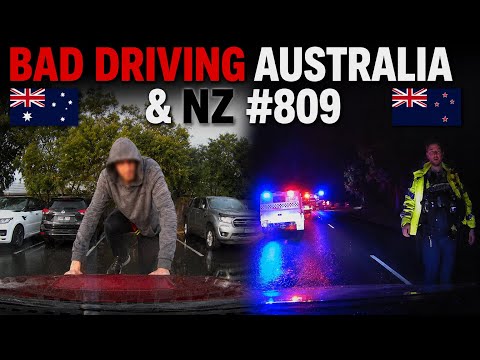 BAD DRIVING AUSTRALIA & NZ #809...Big Tree
