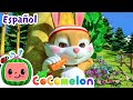 CoComelon LA TORTUGA Y LA LIEBRE Canciones Infantiles En Español Latino