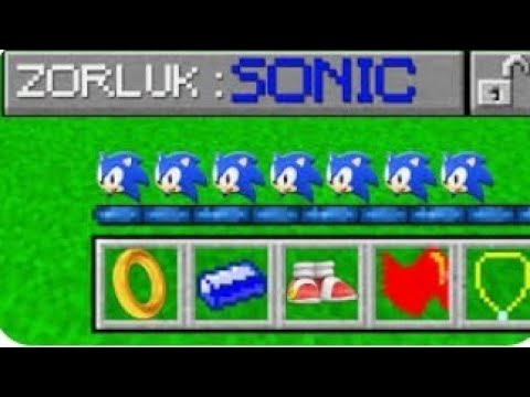 SONİC ZORLUK SEVİYESİ