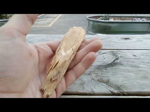 wood chipper be like