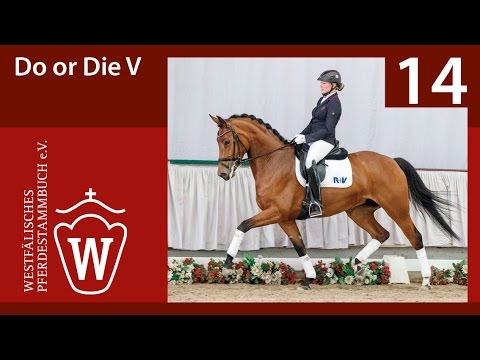 14 Do or Die V Stute v. Daley Thompson - Florestan I