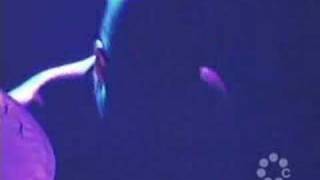 The Mars Volta Cerpin Taxt