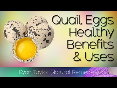 download lagu mp3 mp4 Quail Egg Facts, download lagu Quail Egg Facts gratis, unduh video klip Quail Egg Facts