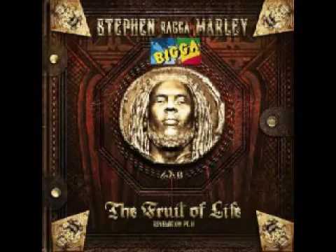 Stephen Marley ft Pitbull -  When She Dances   2017 new song