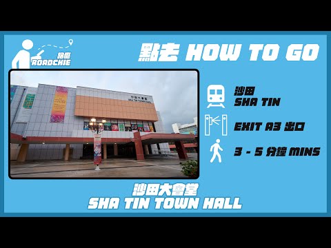 沙田大會堂  Sha Tin Town Hall | 完整路線教學  HOW TO GO