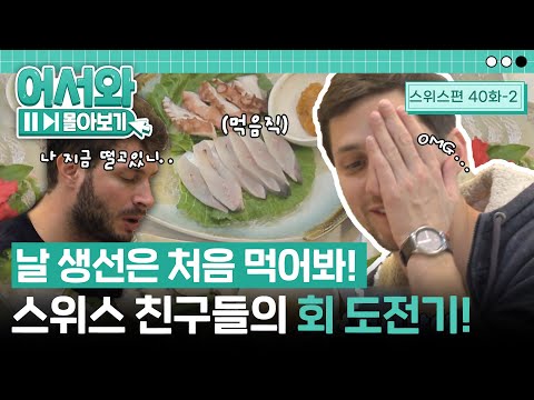 스위스 친구들의 회 도전기! (feat. 남도한정식)