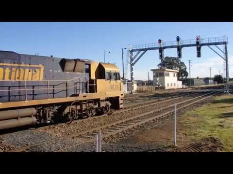 Junee Trains NR29, AN3, NR91 & 8179 with 2MB2