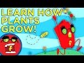 Fredbot Learns How Plants And Flowers Grow