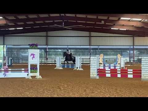 Moro Mischief- Spellbound Farm