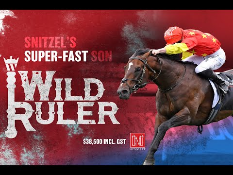 Wild Ruler - Snitzel's Super-Fast Son