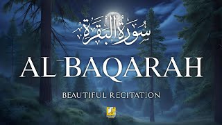 Download lagu Surah Al-Baqarah (سورة البقره) | Powerful Quran Tilawat for Protection & Blessings | Alaa Aqel mp3 Download lagu Surah Al-Baqarah (سورة البقره) | Powerful Quran Tilawat for Protection & Blessings | Alaa Aqel mp3
