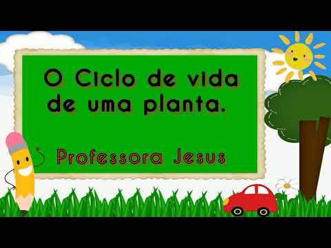 O ciclo de vida de uma planta.🌱🌳