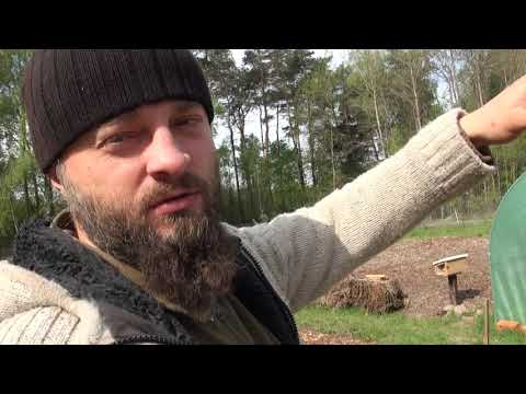 Ogrodowe pierdamony 54 - rośliny inwazyjne ...czy warto sadzić