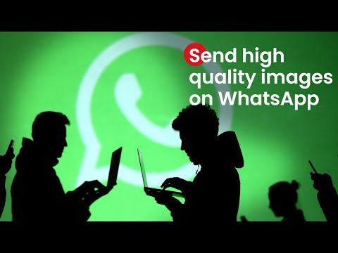 whatsapp document preview feature test for android