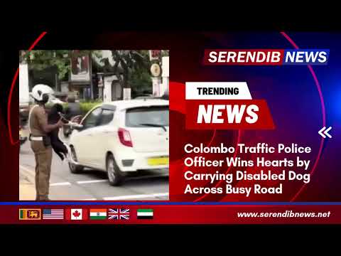Colombo Traffic Police Officer Wins Hearts by Carrying Disabled Dog Across Busy Road