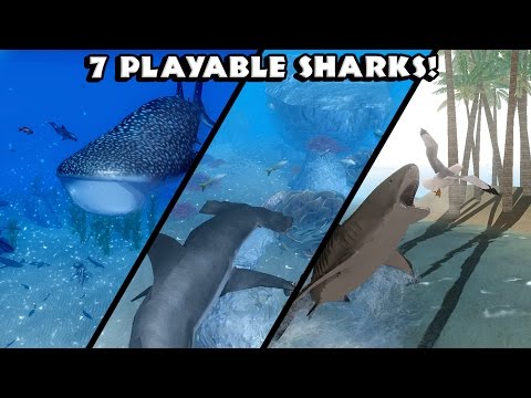 Ultimate Shark Simulator -7 Playable Sharks- Android/iOS - Gameplay - YouTube