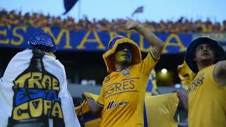 La Cancha No Tiene La Culpa | Trailer