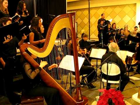 Promotional video thumbnail 4 for Harp4all Music
