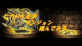 【パズドラ】ヒカりん必須のダンジョン？？