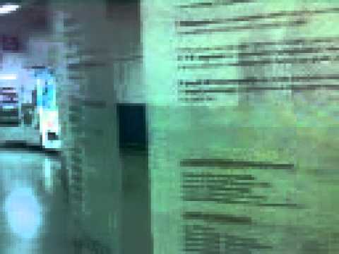 AEROPORTO FS NOTARBARTOLO TRENITALIA PALERMO PUNTA RAISI