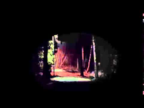 DJ van da Mas - Einfach Krank