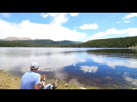 Stompin' In Da Woods