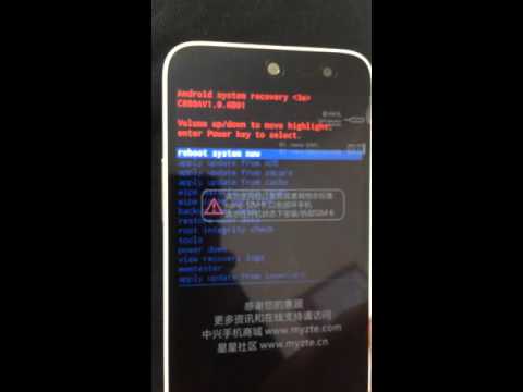 ZTE Finger Print