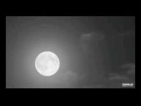 اغاني نايلي قديم شاب حميدة 2009 يا نا قلبي راح داتو