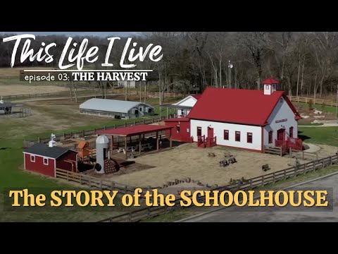 "THE HARVEST": This Life I Live - episode 3