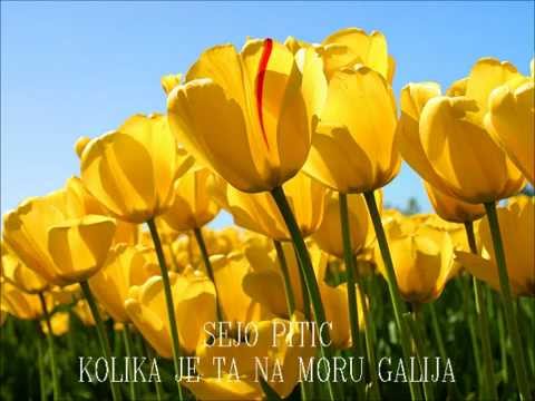 SEJO PITIC - Kolika je ta na moru galija
