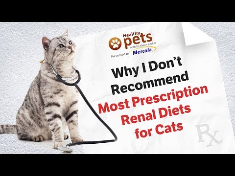 Why I Don’t Recommend Most Prescription Renal Diets for Cats