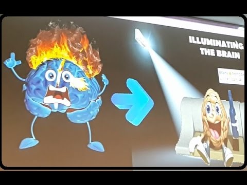 Illuminating the Brain