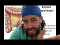 Epiploic Appendage Appendagitis
