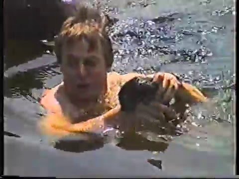 Mink Ben und Charly (Schäferhund-Riesenschnauzer) ,der Beginn einer lebenslangen Freundschaft.