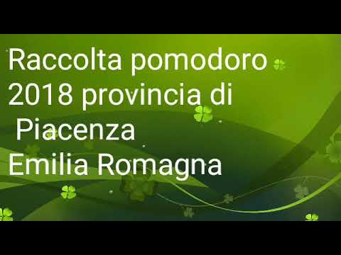, title : 'Raccolta pomodoro 2018'