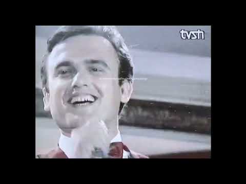 Mustafa Mehja 12 yjet ne Hollywood