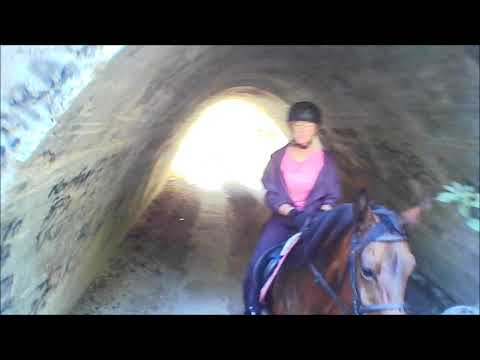 Stajnia Żerniki -Wierzbica