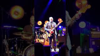 Elvis Costello, &quot;Shabby Doll&quot;  live at The Vic, Chicago