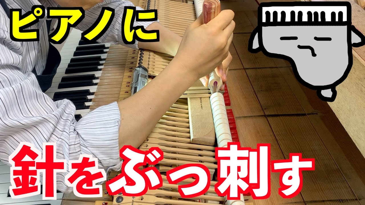 【めった刺し】質問回答させていただきます