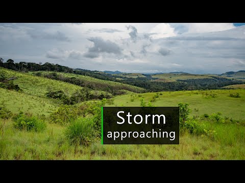 Rainforest sounds - Thunderstorm approaching in Central Africa