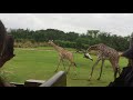 Kilimanjaro Safaris POV Disney S Animal Kingdom 2018