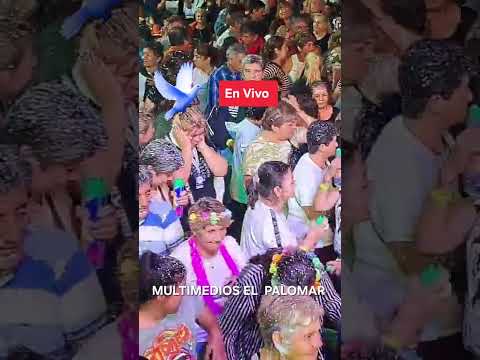 CARNAVAL DE LA 3RA EDAD Municipalidad de La Banda del Rio Sali.