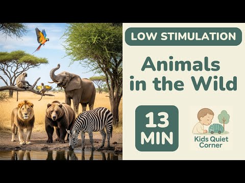 LOW STIMULATION Animals in the Wild for Toddlers! 🦁 13 Mins Calm | Kids Quiet Corner