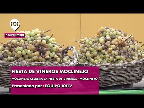 Fiesta de Vieros Moclinejo | Fiestas singulares de Andaluca 101TV Mlaga