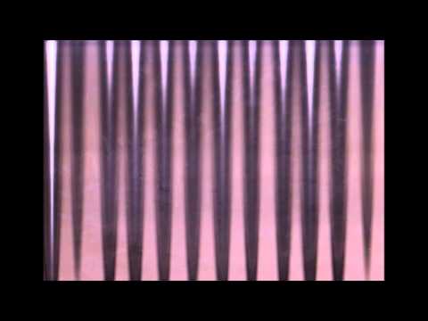 200,000 Dominoes - The Incredible Science Machine