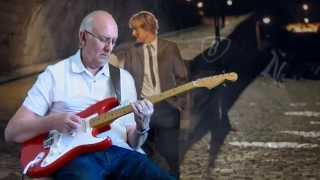 Groovy kind of love - Hank Marvin - cover by Dave Monk