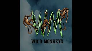 Video thumbnail: Wild Monkeys Pickleball Paddles | #JoinTheChaos