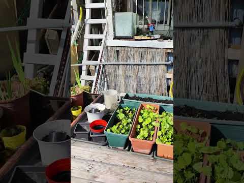 Imparare Insegnare e Condividere con il progetto 21 - Scuola del fai da te