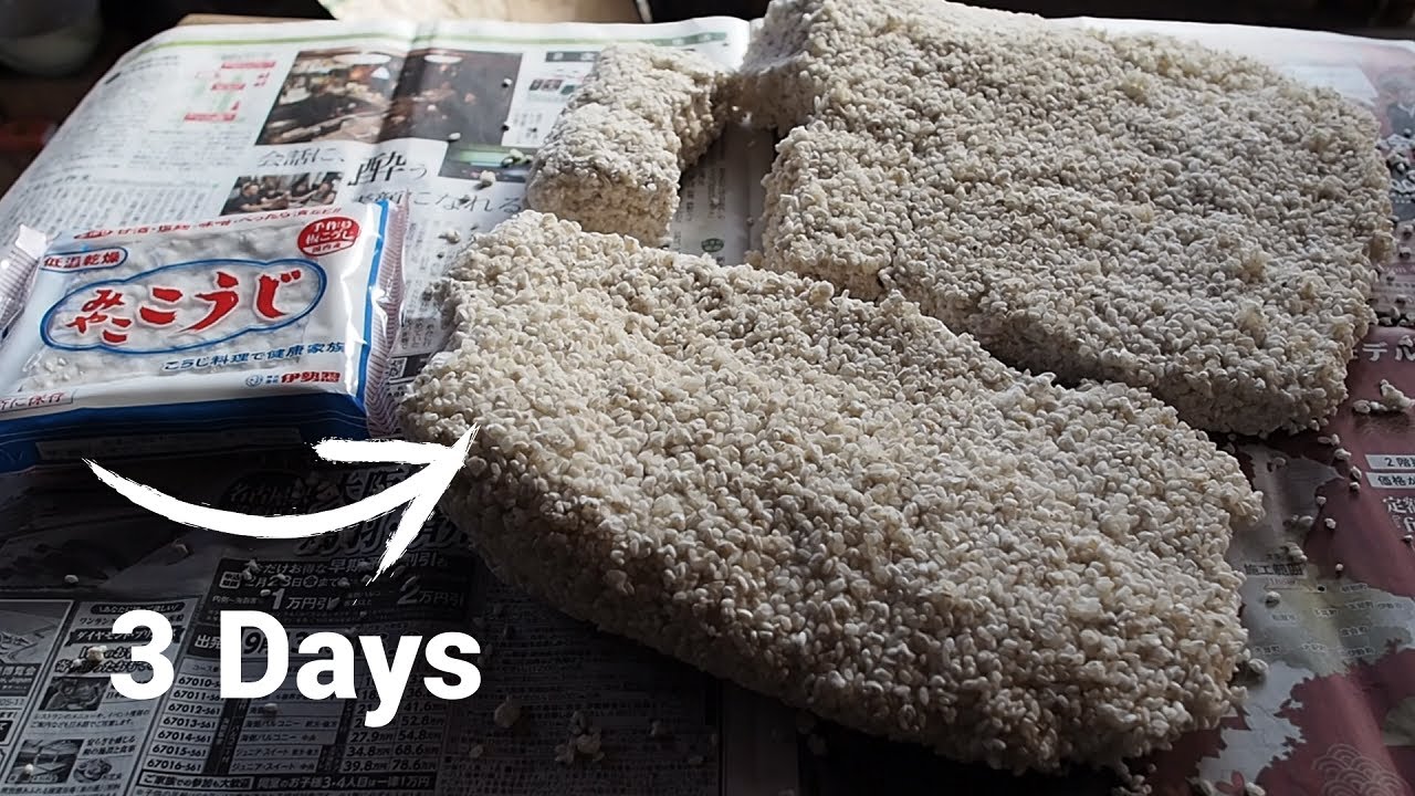 スーパーで買った米麹を培養させたら、3日後に15倍の米麹ができた、、、(友麹法)｜ろん農園 ron-nouen Channel