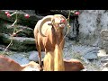 Video 'GAME OF GOATS'